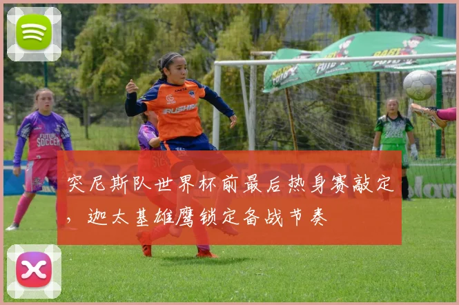 突尼斯队世界杯前最后热身赛敲定，迦太基雄鹰锁定备战节奏